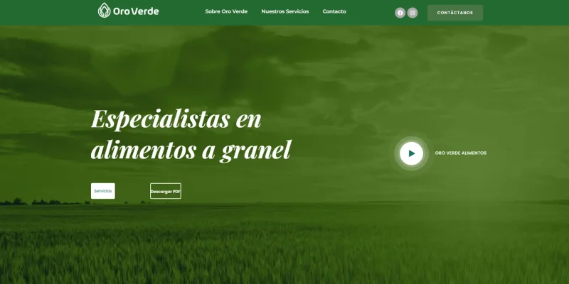 alimentos a granel internacionales