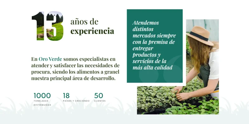 alimentos a granel mison vision experiencia